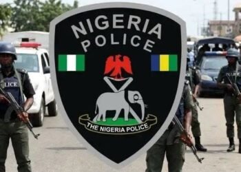 Presidency Sets Deadline for Public Input on State Police Bill