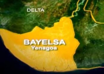 Bayelsa Oil Pollution Has Surpassed Ogoni, Says Environmentalist Nnimmo Bassey