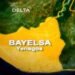 Bayelsa Oil Pollution Has Surpassed Ogoni, Says Environmentalist Nnimmo Bassey
