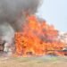 NDLEA Destroys N301 Billion Drugs