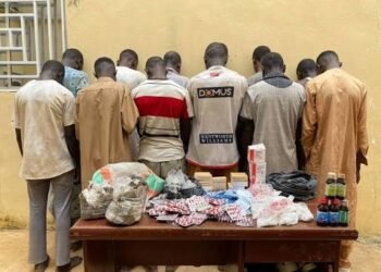 NDLEA Arrests Drug Suspects