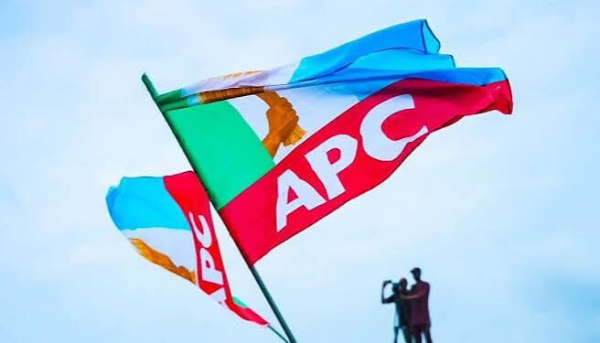 APC 2027 campaign council