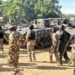 Borno: 17 Boko Haram Family Members Surrender as Military Offensive Intensifies