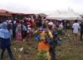 Large Turnout In Oyebamiji’s Hometown As Osun Voters Await Accreditation