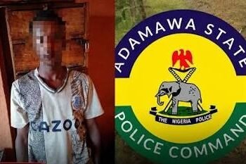 Police Foil Attempted Abduction of 6-Year-Old Girl, Arrest Suspect in Adamawa