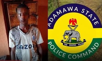 Police Foil Attempted Abduction of 6-Year-Old Girl, Arrest Suspect in Adamawa