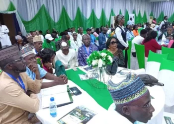 FG Launches Tinubu Light Initiative To Power 1m MSMEs With Clean Energy