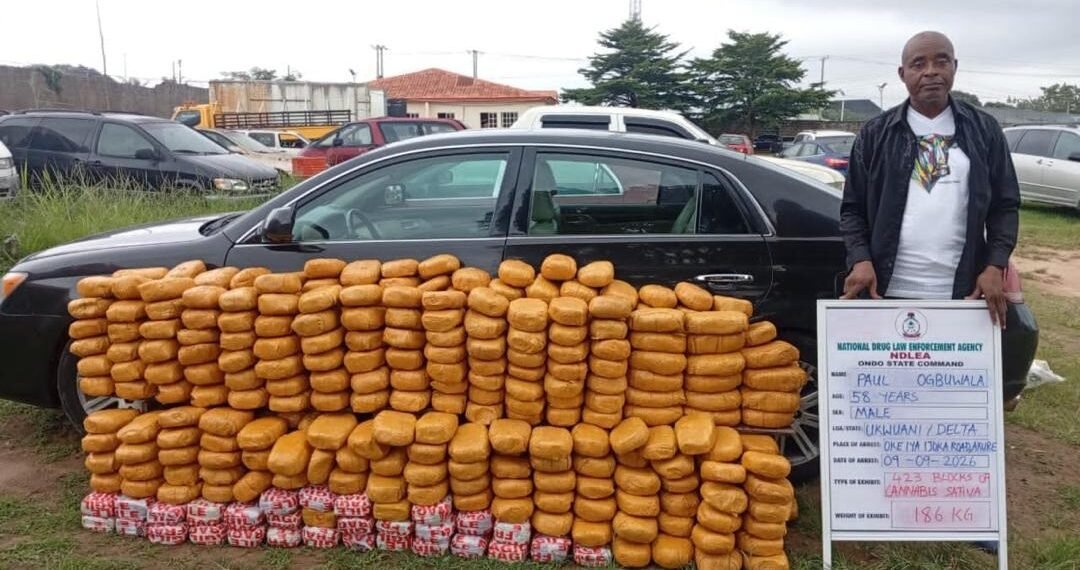 NDLEA Intercepts 44kg Colorado Hidden In Cargoes, Speakers Shipped From UK