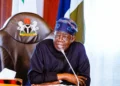 Speak Directly To Voters, Rely Less On Northern Elites, Adamawa Commissioner Advises Tinubu