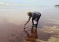 Oil Spill Cleanup In Bayelsa Below Acceptable Standards - ECARD