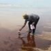 Oil Spill Cleanup In Bayelsa Below Acceptable Standards - ECARD