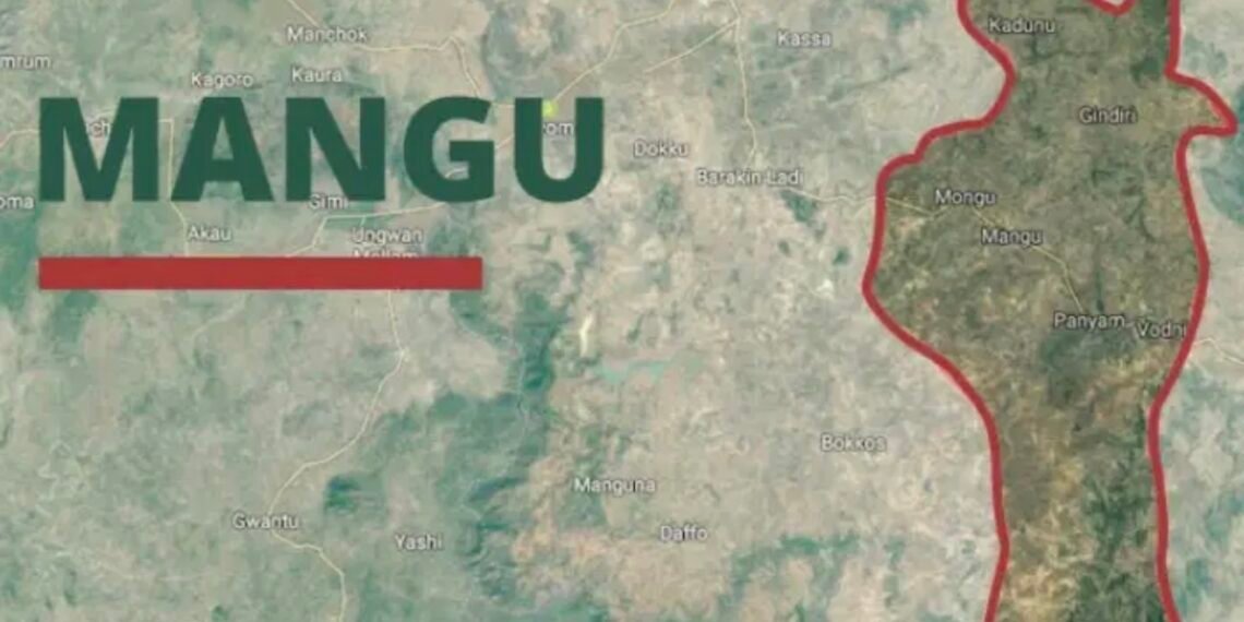 Mwaghavul Development Association Calls For Investigation Into Mangu Violence