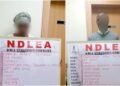 Court Grants 67-Year-Old UK-Nigerian Grandma ₦150m Bail For Cocaine Trafficking