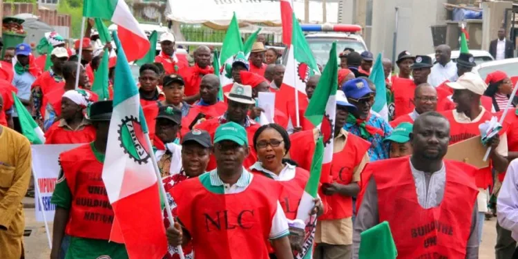 Delta NLC Declares Indefinite Strike Over Death of Senior Civil Servant