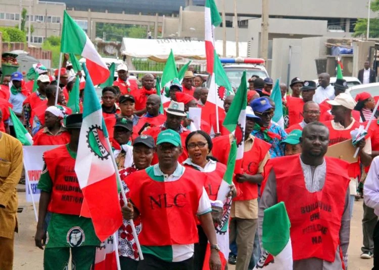 Delta NLC Declares Indefinite Strike Over Death of Senior Civil Servant