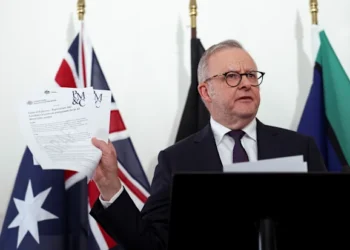 OpenAI Medicare Portal Breach: Albanese Demands Answers After AI Agent Accesses Australian Government System