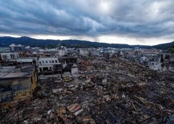 Japan Earthquake Demo Shows Why Buildings Shake Differently During Earthquakes