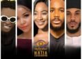 Before BBNaija