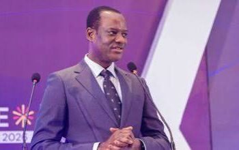 FG late tax payment interest