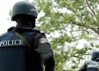 Gombe Police arrest suspects