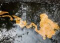 Oando Underwater Leak in Bayelsa Raises Environmental Concerns