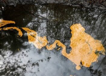 Oando Underwater Leak in Bayelsa Raises Environmental Concerns
