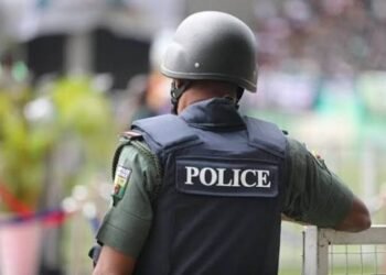 Lagos Suspected Thief Allegedly Gives Police Five-Star Review After Arrest