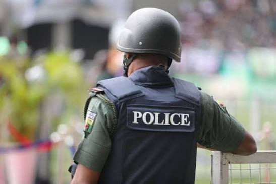 Lagos Suspected Thief Allegedly Gives Police Five-Star Review After Arrest
