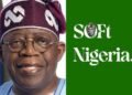 Tinubu’s Achievements