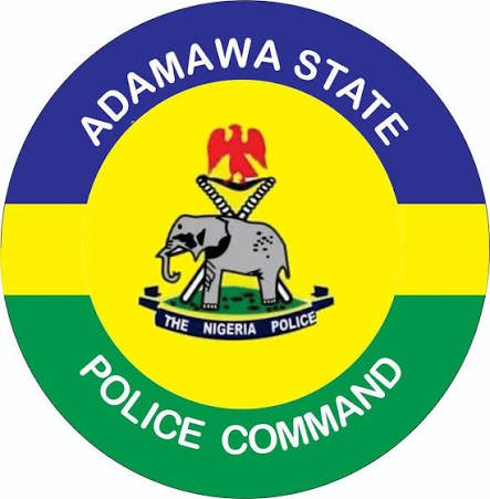Adamawa Police Arrest 54-Year-Old Teacher Over Alleged Defilement of 10-Year-Old Girl