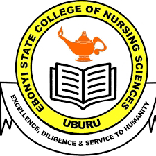 ‎Ebonyi Nursing College Attains Full Accreditation, Records Infrastructural Expansion