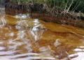 Odidi Oil Spill: Community Chairman Demands Urgent Action, Warns Against Unauthorised Protests