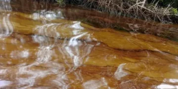Odidi Oil Spill: Community Chairman Demands Urgent Action, Warns Against Unauthorised Protests