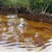 Odidi Oil Spill: Community Chairman Demands Urgent Action, Warns Against Unauthorised Protests