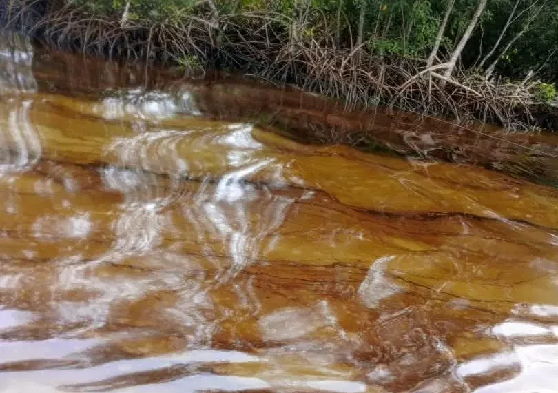 Odidi Oil Spill: Community Chairman Demands Urgent Action, Warns Against Unauthorised Protests