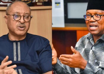 Pat Utomi Says He Would Withdraw Support If Obi Accepts 2027 VP Slot