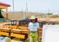 NYSC Corps Member Donates 50 Desks, Solar Lights, Learning Materials To Adamawa School