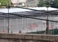 Prison inmates, BHCPF health insurance