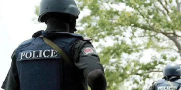 Police officers, Delta police arrest