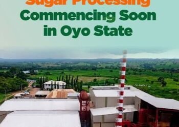 Oyo Sugar Factory Begins Test-Running After More Than Decade of Development