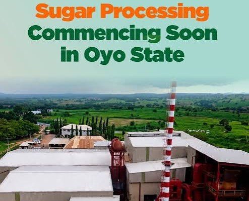 Oyo Sugar Factory Begins Test-Running After More Than Decade of Development