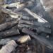 Derailed train carriages at a train accident site (file photo)